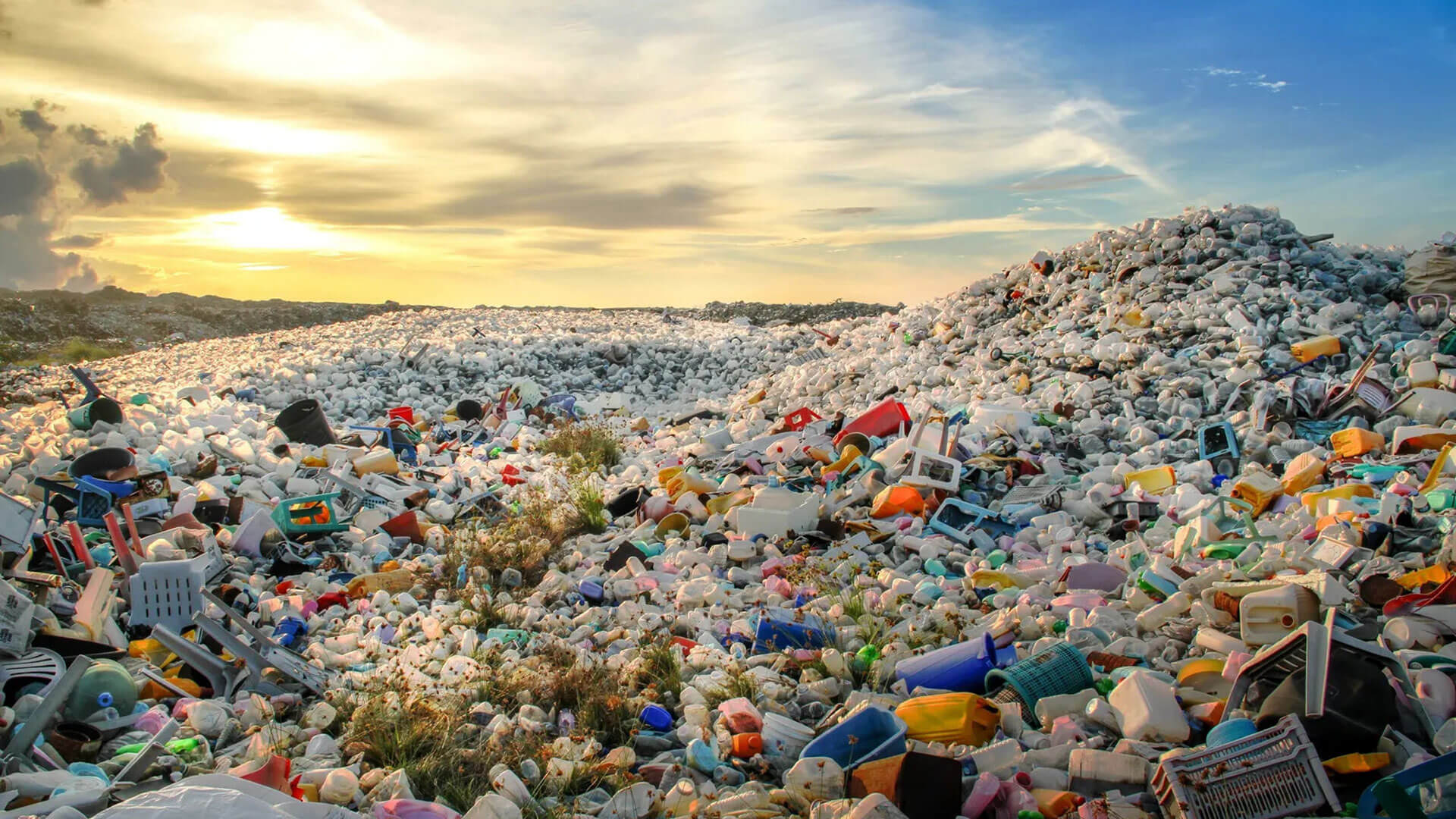 Biotransformation for Biodegradable Plastics