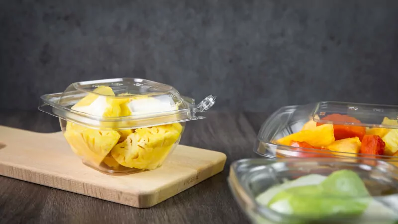 SPI Attending Japan SMTS 2024