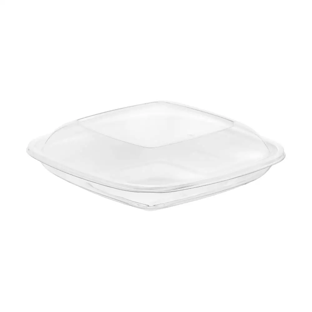 Clear Packaging-Salad SK889B-A
