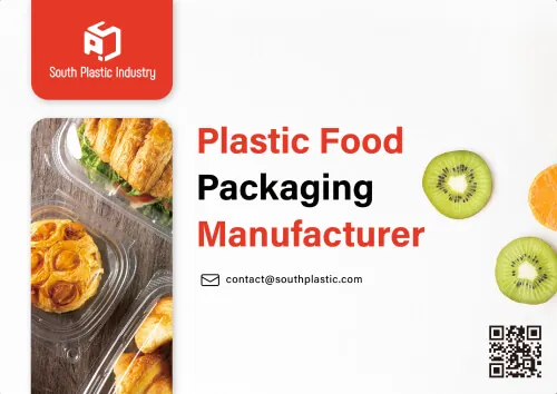 Company-Profile-2025-EN-500x500