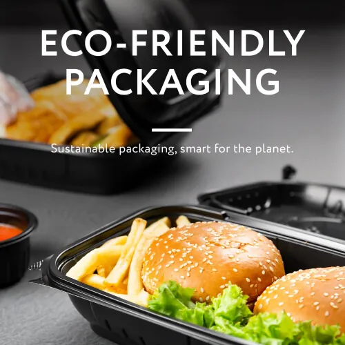 ECO Friendly Packaging-2025-EN